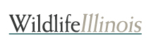 The Wildlife Illinois Logo